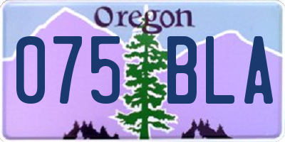 OR license plate 075BLA