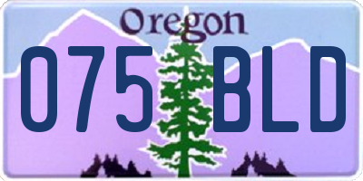 OR license plate 075BLD