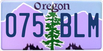 OR license plate 075BLM