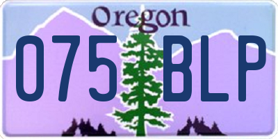 OR license plate 075BLP