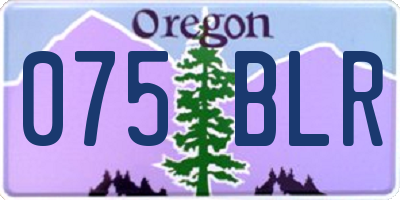 OR license plate 075BLR