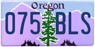 OR license plate 075BLS