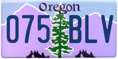 OR license plate 075BLV