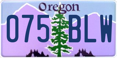 OR license plate 075BLW