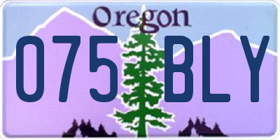 OR license plate 075BLY