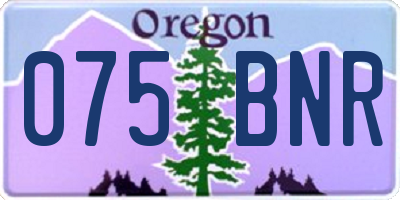 OR license plate 075BNR