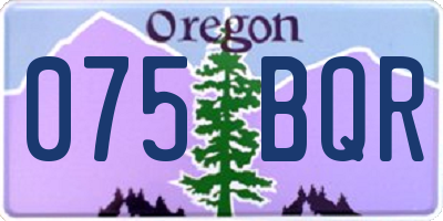 OR license plate 075BQR