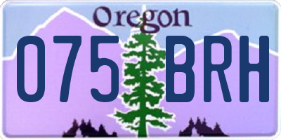 OR license plate 075BRH