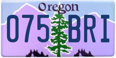 OR license plate 075BRI