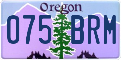 OR license plate 075BRM