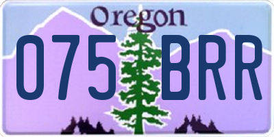 OR license plate 075BRR