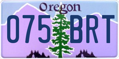 OR license plate 075BRT