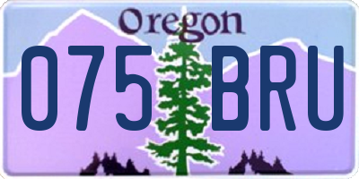 OR license plate 075BRU