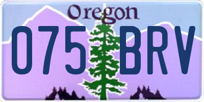 OR license plate 075BRV