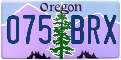 OR license plate 075BRX