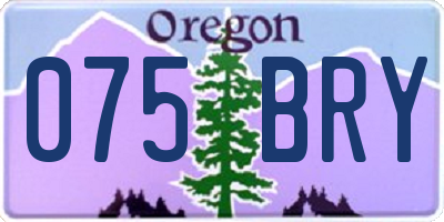 OR license plate 075BRY