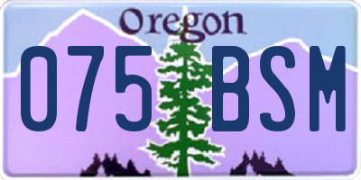 OR license plate 075BSM