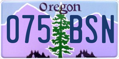 OR license plate 075BSN