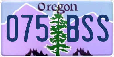 OR license plate 075BSS