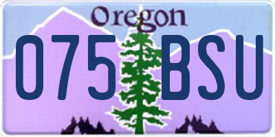 OR license plate 075BSU