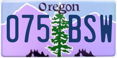 OR license plate 075BSW
