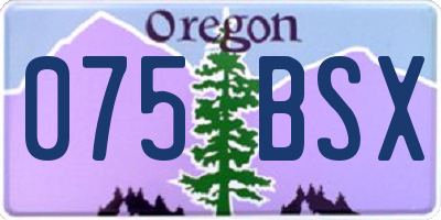 OR license plate 075BSX