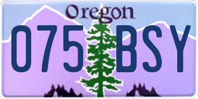 OR license plate 075BSY