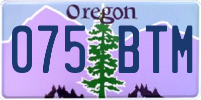 OR license plate 075BTM