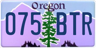 OR license plate 075BTR
