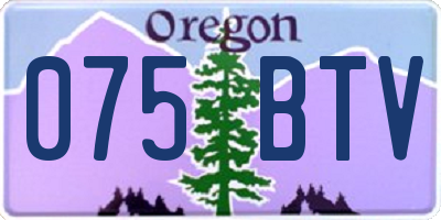 OR license plate 075BTV