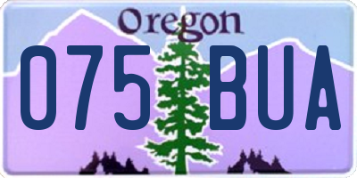 OR license plate 075BUA
