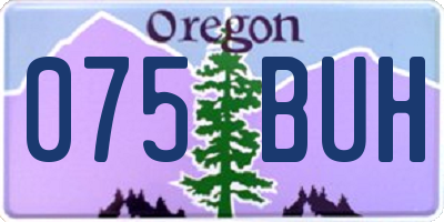 OR license plate 075BUH