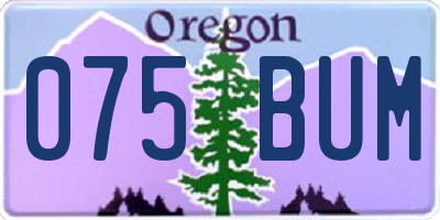 OR license plate 075BUM