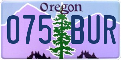 OR license plate 075BUR