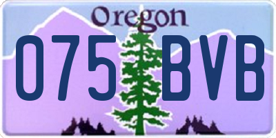 OR license plate 075BVB