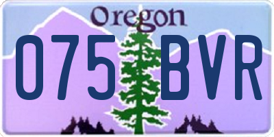 OR license plate 075BVR