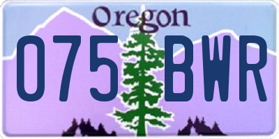 OR license plate 075BWR