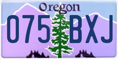 OR license plate 075BXJ