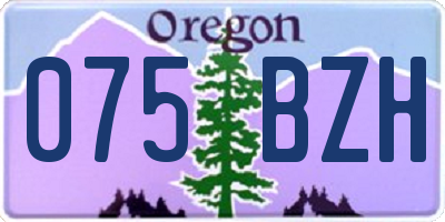 OR license plate 075BZH