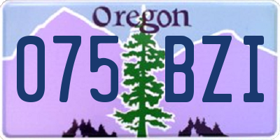 OR license plate 075BZI