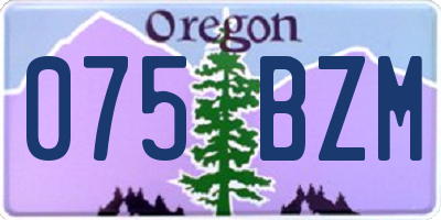 OR license plate 075BZM