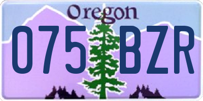 OR license plate 075BZR