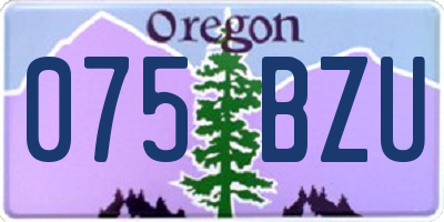 OR license plate 075BZU