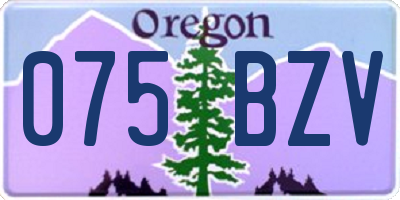 OR license plate 075BZV