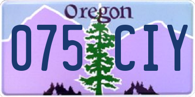 OR license plate 075CIY