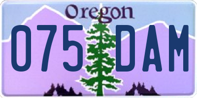 OR license plate 075DAM