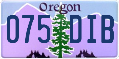 OR license plate 075DIB