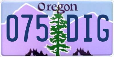 OR license plate 075DIG