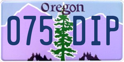 OR license plate 075DIP