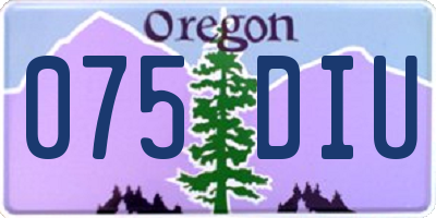 OR license plate 075DIU